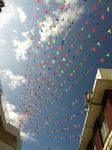 IMG_6048.jpg