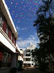 IMG_6050.jpg