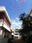 IMG_6051.jpg