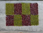 DSC01153.jpg