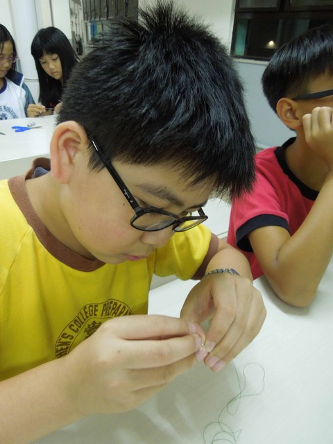 DSCN6647.jpg