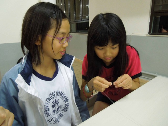 DSCN6648.jpg