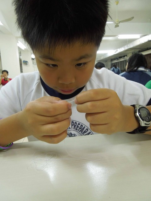DSCN6651.jpg