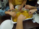 DSCN6845.jpg
