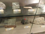 DSCN4988.JPG