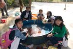 P1060867.jpg