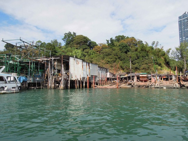 DSCN0247.jpg