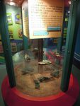 DSCN0306.jpg