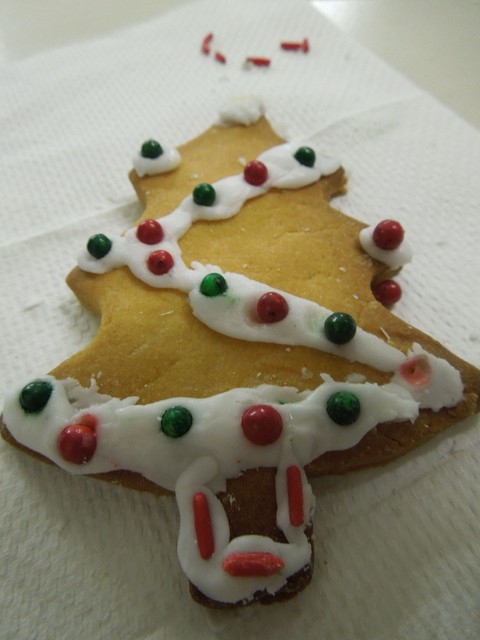 DSCN7847.jpg