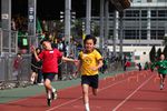 IMG_4819.jpg