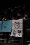 IMG_4938.jpg