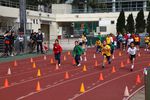 IMG_4946.jpg