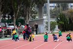 IMG_8651.jpg