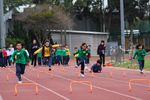 IMG_8726.jpg
