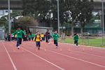 IMG_8727.jpg