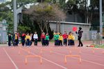 IMG_8732.jpg
