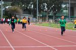 IMG_8742.jpg