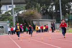 IMG_8754.jpg