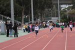IMG_8799.jpg