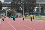 IMG_8845.jpg
