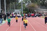 IMG_8861.jpg