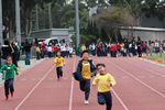 IMG_8862.jpg