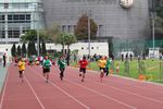 IMG_8880.jpg