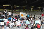 IMG_9033.jpg