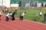 IMG_9500.jpg