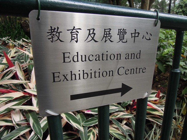 DSCN8733.jpg