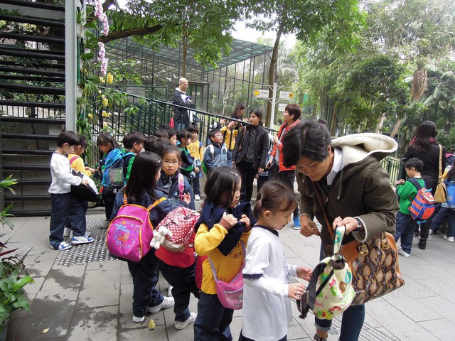 DSCN8747.jpg