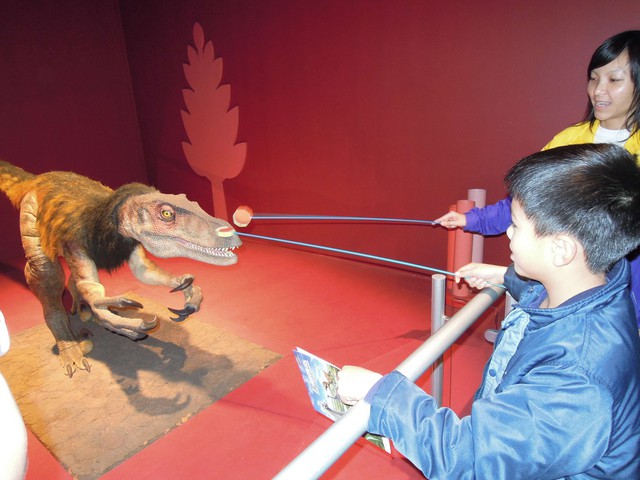 DSCN9134.jpg