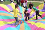 IMG_7035.jpg