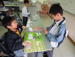 DSCN9514.jpg