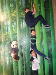 DSC02008.jpg