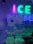 DSC02013.jpg