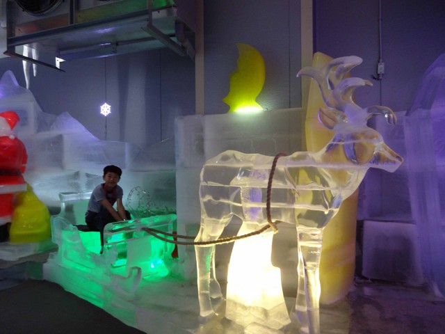 DSC02016.jpg