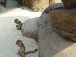 DSC02127.jpg