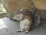 DSC02128.jpg