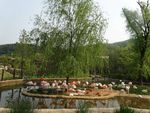 DSC02142.jpg