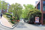 EOS 550D_4225.jpg