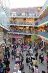 EOS 550D_4375.jpg
