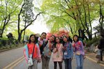 EOS 550D_4582.jpg