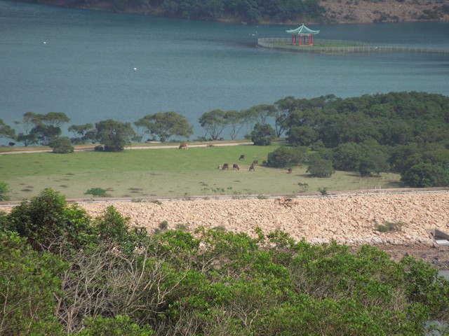 ESCN0081.jpg