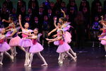 IMG_1388.JPG