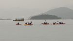 IMG_20260505_100149_656.jpg