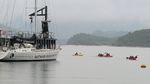 IMG_20260505_140403_259.jpg