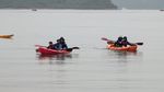 IMG_20260505_140642_191.jpg