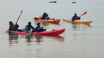 IMG_20260505_140819_628.jpg