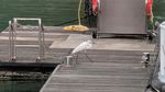 IMG_20260505_165549_828.jpg